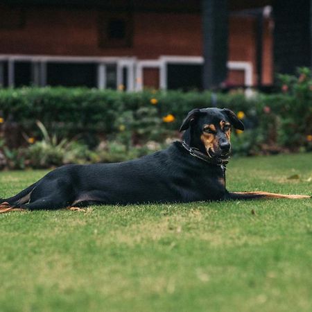 Gitanjali Homestay Mysore Eksteriør billede