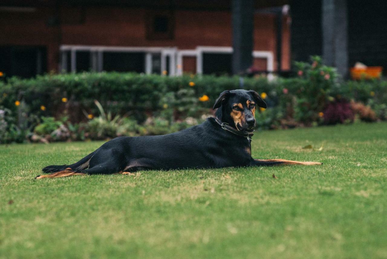 Gitanjali Homestay Mysore Eksteriør billede